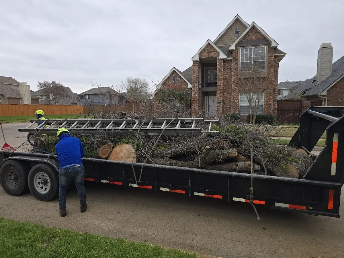 Expert Tree Fertilization with proper safety equipment in Vallecitos
